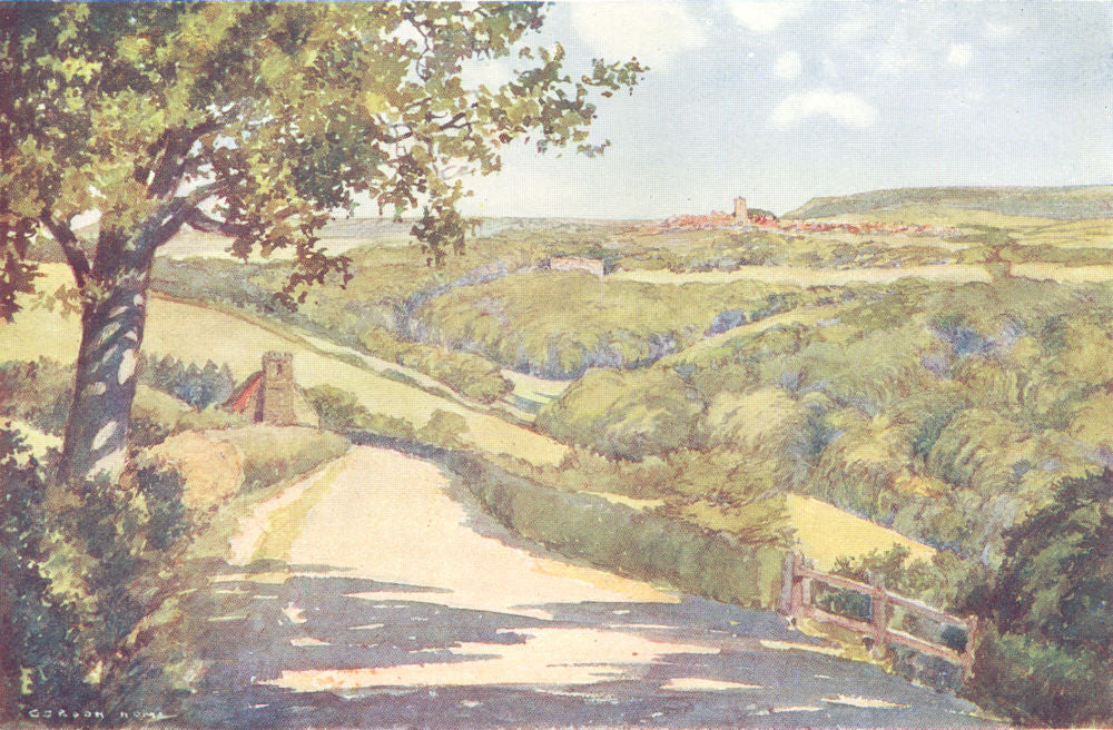 YORKS. The Skelton Valley 1908 old antique vintage print picture